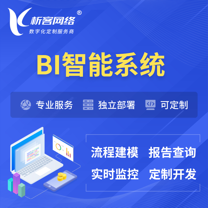 广州BI智能系统 | BI数据可视化
