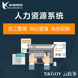 广州政府网站定制的安全性与合规性探讨