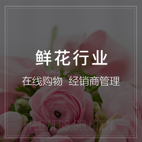 广州外贸网站定制如何适应多语言需求